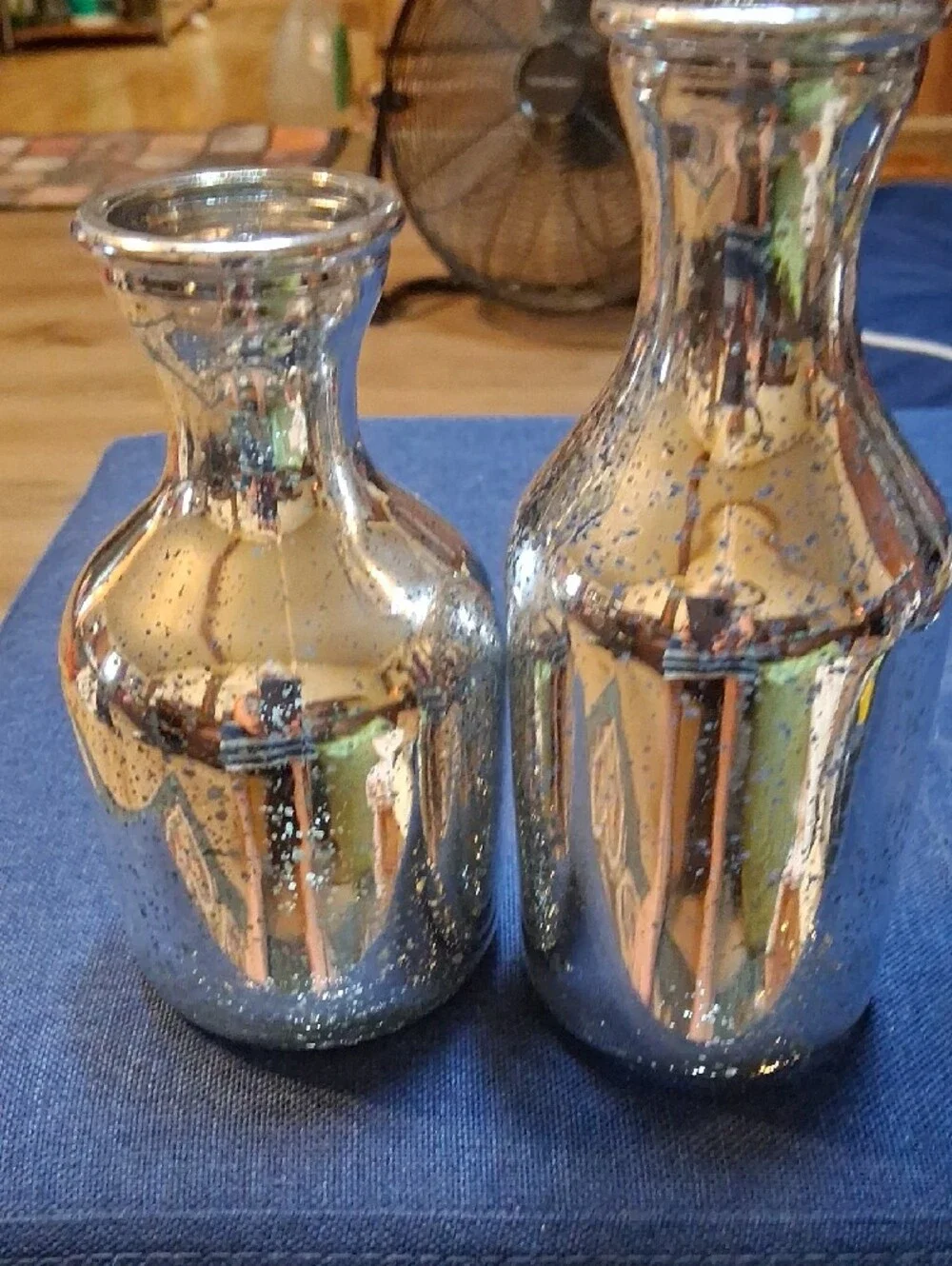 Silver Mercury Glass Vase Duo - Reflective Accent Pair